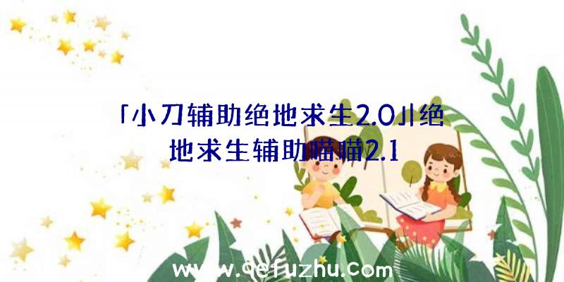 「小刀辅助绝地求生2.0」|绝地求生辅助喵喵2.1